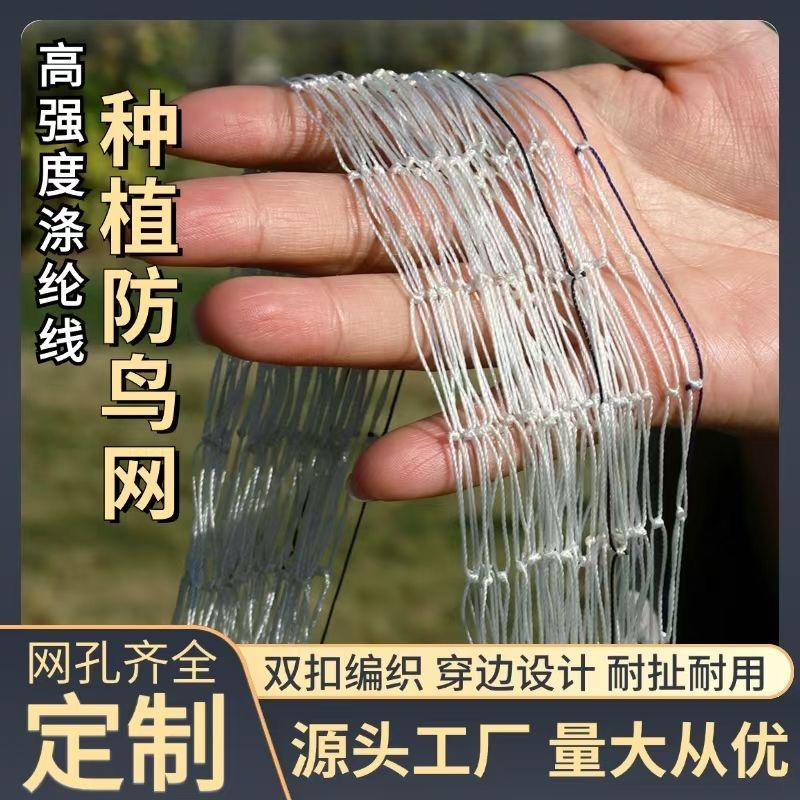 批发零售涤纶线防鸟网