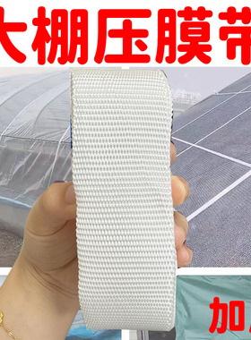 加厚大棚压膜绳带养殖温室种植专用防风晒抗老风化压膜拉棚线扁带