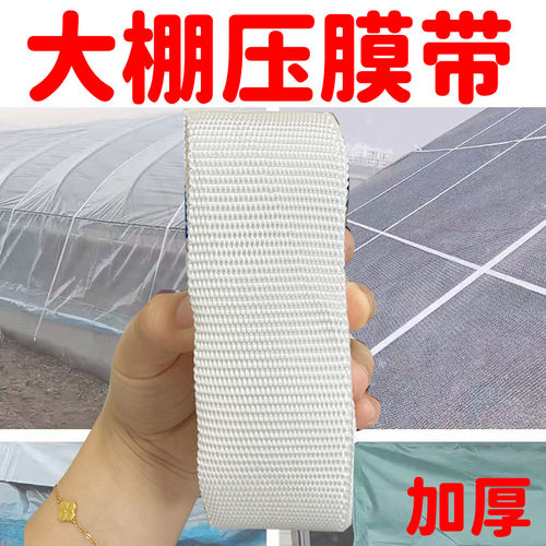 加厚大棚压膜绳带养殖温室种植专用防风晒抗老风化压膜拉棚线扁带