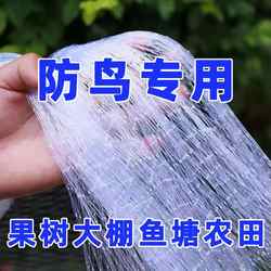 防鸟网尼龙樱桃葡萄梨树蓝莓果树果园防鸟用网青蛙养殖场鱼塘天网