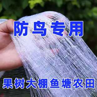 防鸟网尼龙樱桃葡萄梨树蓝莓果树果园防鸟用网青蛙养殖场鱼塘天网
