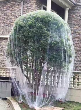 果树防鸟罩农用防鸟网果园葡萄园防护网防小鸟的网网罩樱桃嘉宝果