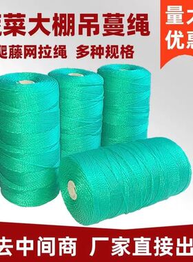 爬藤种植网拉绳防鸟网大棚园艺捆绑绳子尼龙绳聚乙烯绳吊瓜吊线绳