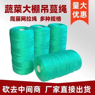 爬藤种植网拉绳防鸟网大棚园艺捆绑绳子尼龙绳聚乙烯绳吊瓜吊线绳