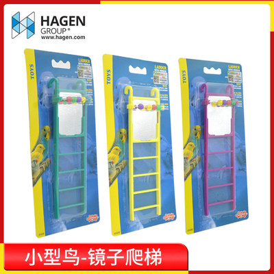 哈利镜子益智小型鸟用品配件鹦鹉