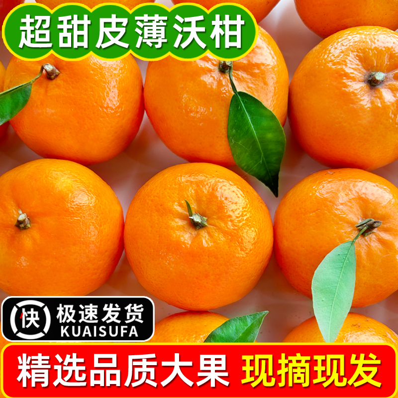 沃柑10斤新鲜水果当季耙耙丑八怪柑整箱一级沙糖蜜橘砂糖柑橘桔子