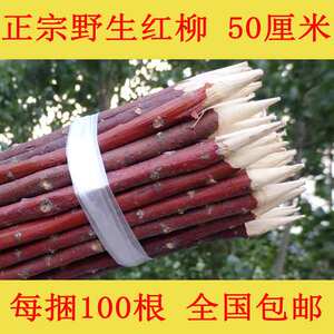 正宗野生红柳枝50cm100根新疆羊肉串签子烧烤签子红柳木烤肉签子