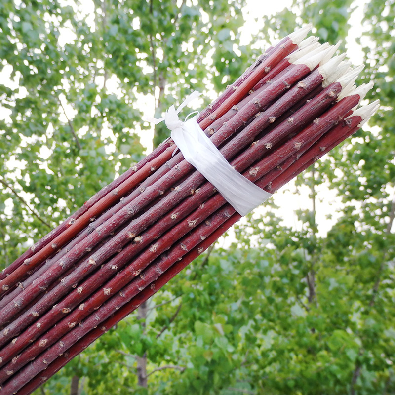 红柳签子烤肉烧烤新疆羊肉串