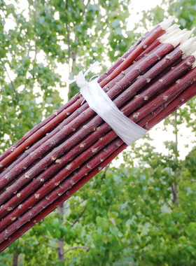 红柳签子30cm300根红柳木烤肉正宗红柳枝烧烤签子新疆羊肉串签子