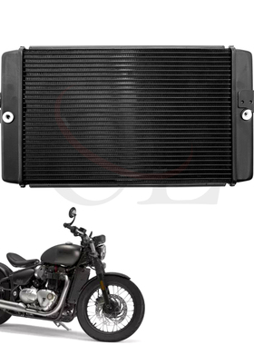 适用于凯旋 Bonneville Bobber/Speedmaster 17-22 改装水箱总成
