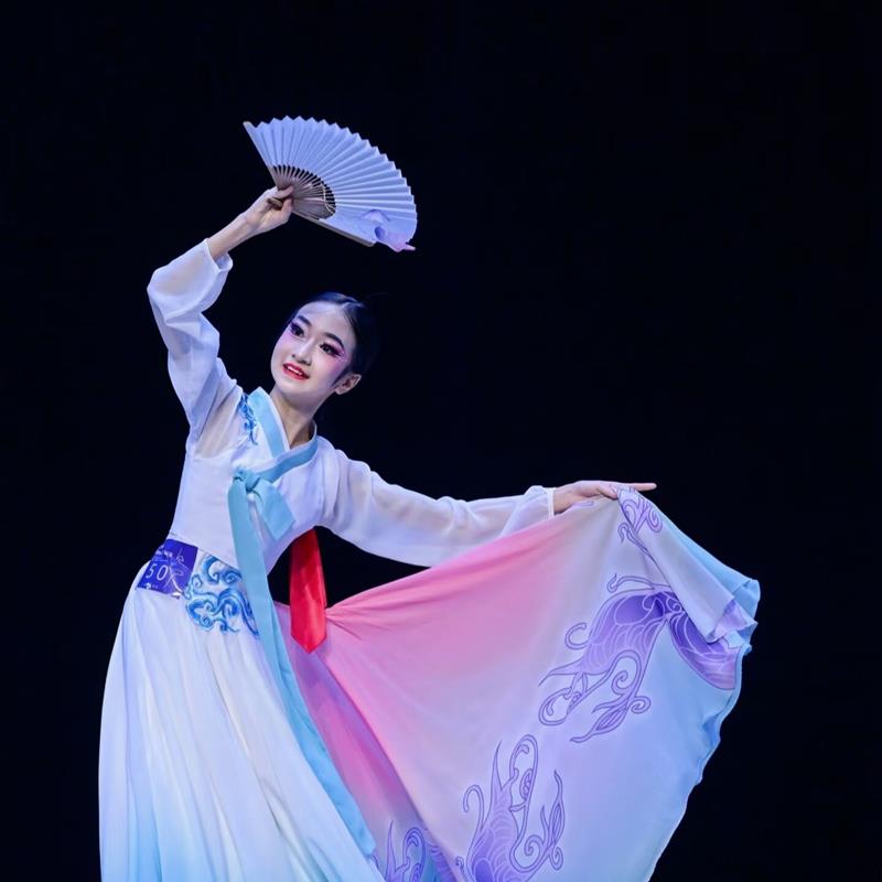 朝鲜舞蹈服装艺考剧目服飞花蝶语独舞大摆裙表演出服古典舞服定制图片