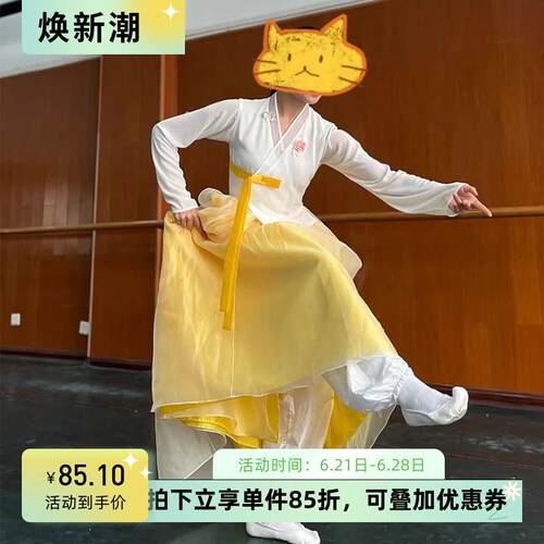 朝鲜舞蹈演出服女少数民族成人艺考表演服装上衣学生大摆裙练功服