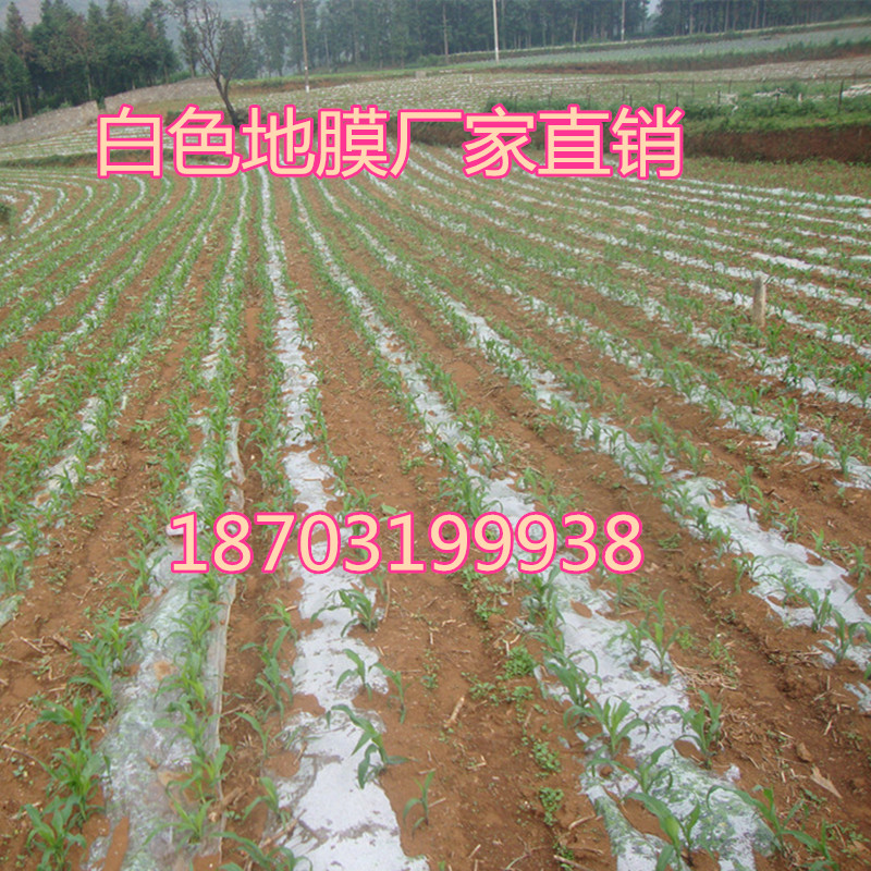 混凝土白色透明蔬菜保温塑料薄膜