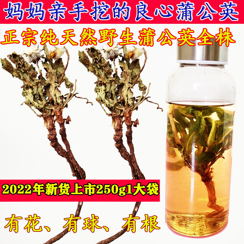 云南散装纯天然农家蒲公英茶通乳