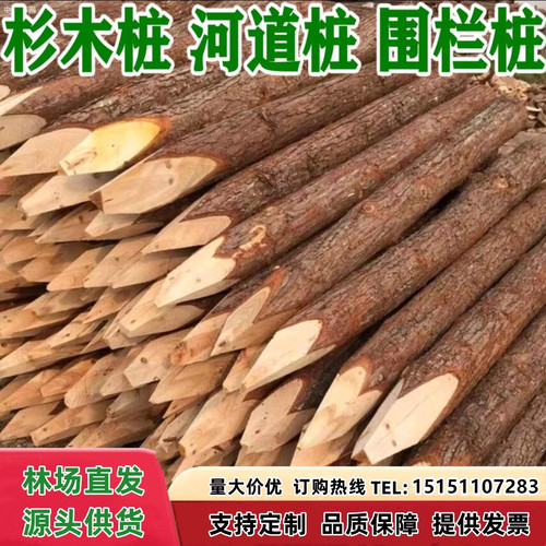 杉木桩河道驳岸护坡支撑杆