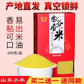 金谷香米2025年新黄小米真空五谷杂粮熬煮粥吃 小黄米食品月子米