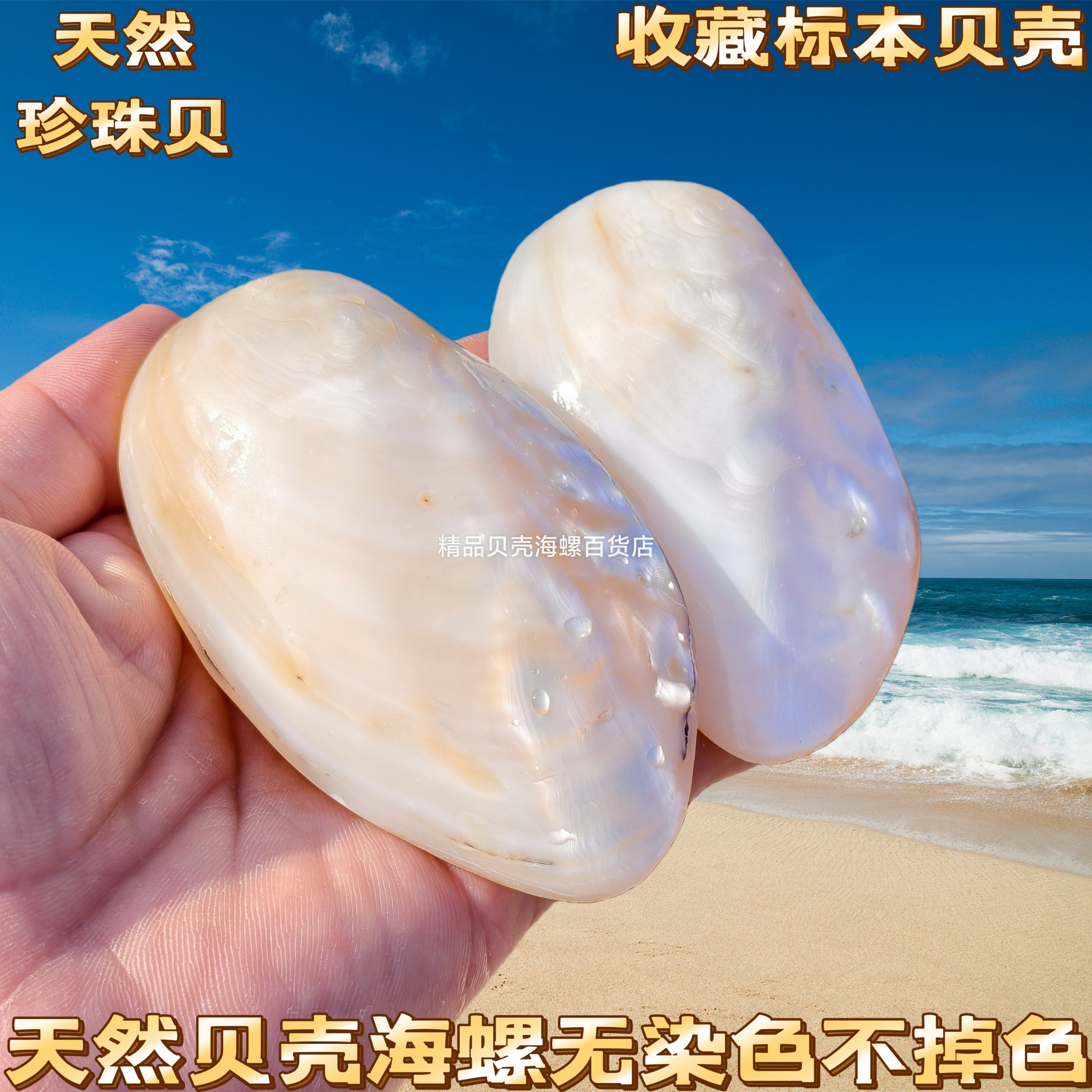 天然海螺贝壳光泽珍珠贝 刮痧板 双面蚌壳 创意爸妈礼物 手把件