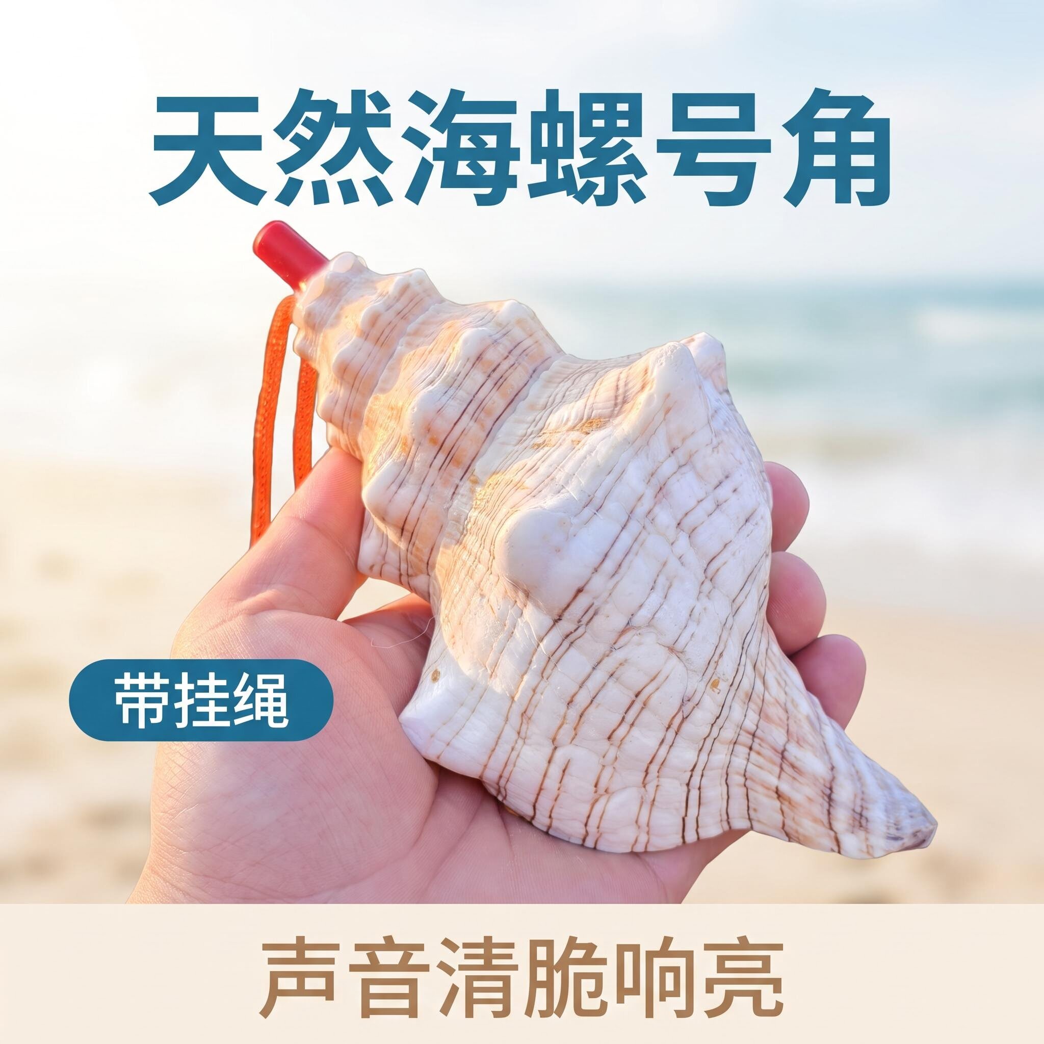 天然儿童海螺贝壳口哨号角喇叭儿童玩具可吹螺号礼物哨子