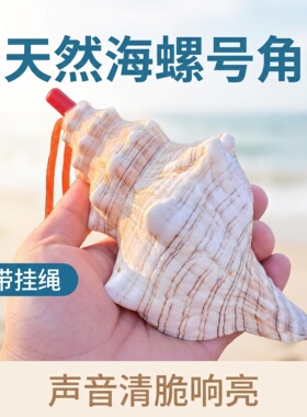 天然儿童海螺贝壳口哨号角喇叭儿童玩具可吹螺号礼物哨子