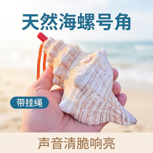 天然儿童海螺贝壳口哨号角喇叭儿童玩具可吹螺号礼物哨子