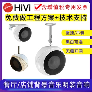 惠威S3PLUS-PA吊球音响店铺背景音乐壁挂悬挂HiFi明装喇叭音箱
