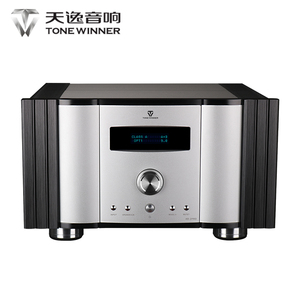 Winner/天逸 AD-2PRO全平衡纯甲类发烧大功率DSD解码HIFI功放机