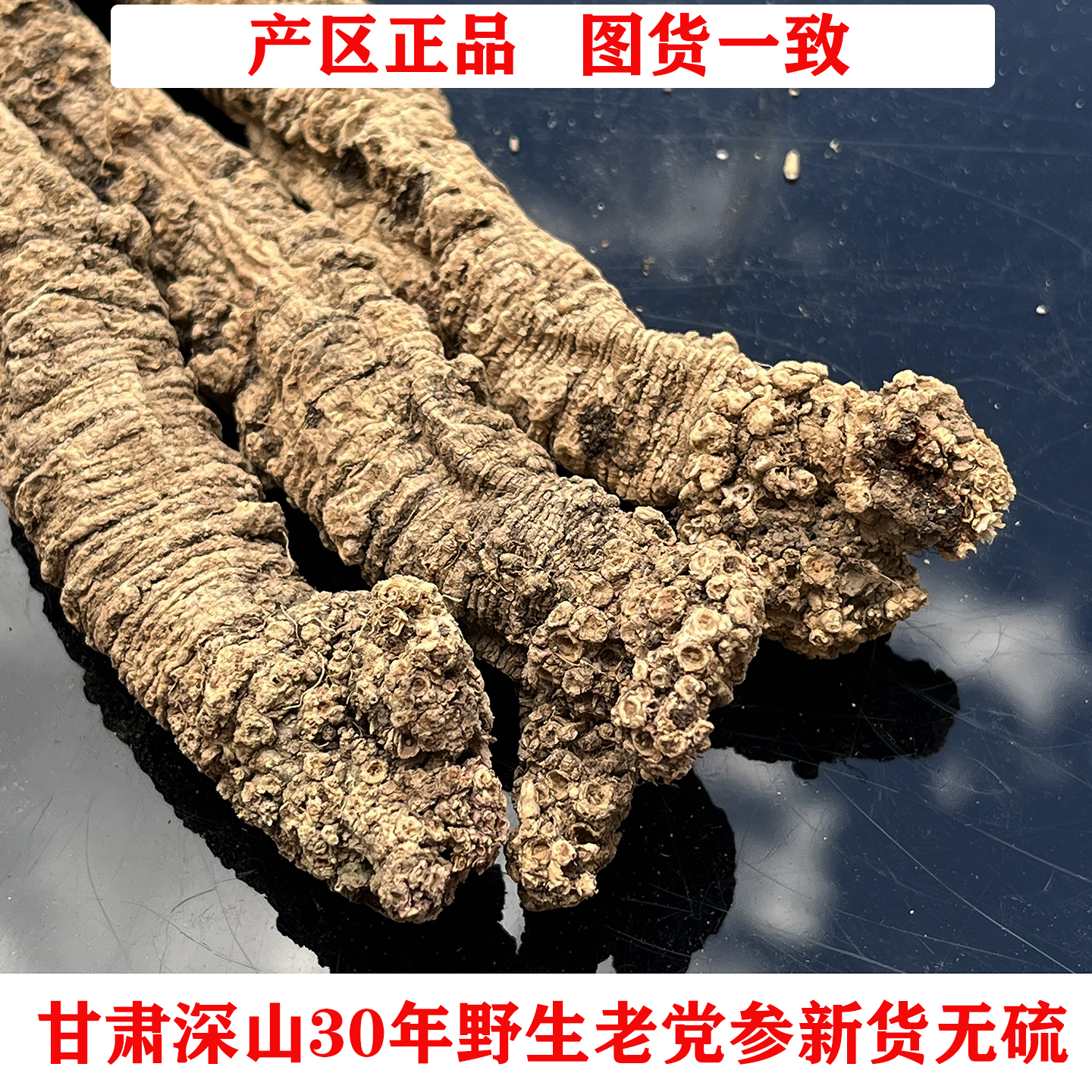 甘肅特級野生黨參無硫產區直發