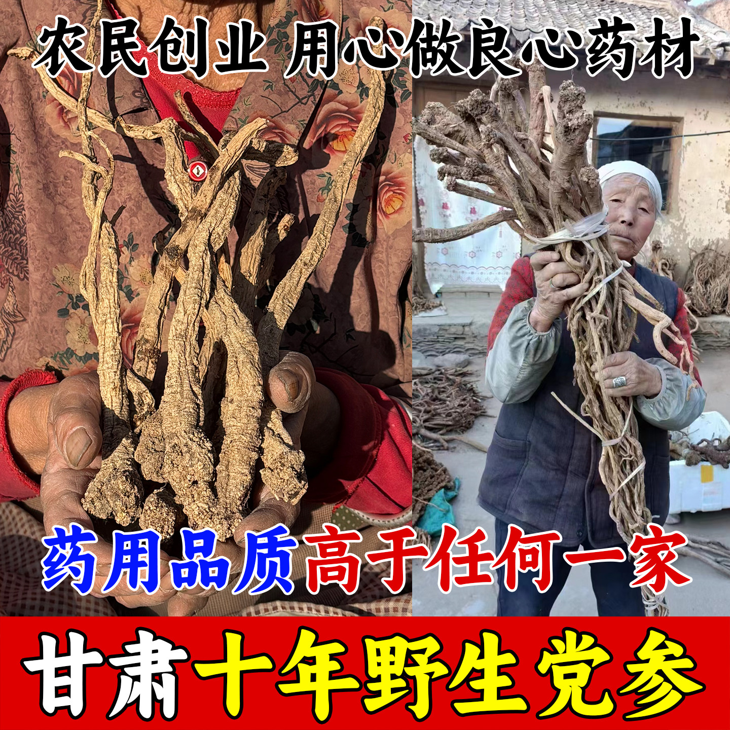 甘肃深山野生老党参特级天然无硫中药材250g土纹潞党上党参段条