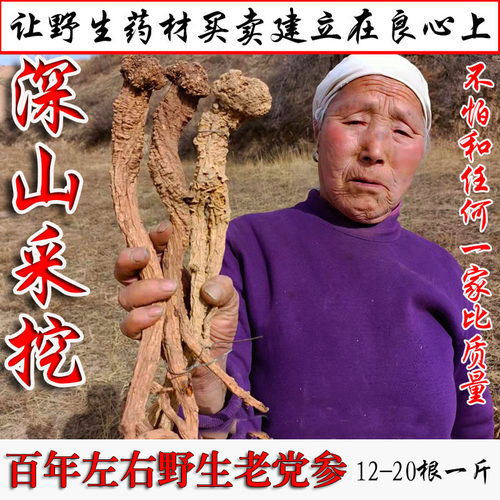 百年野生党参童年芳草阁少数专享