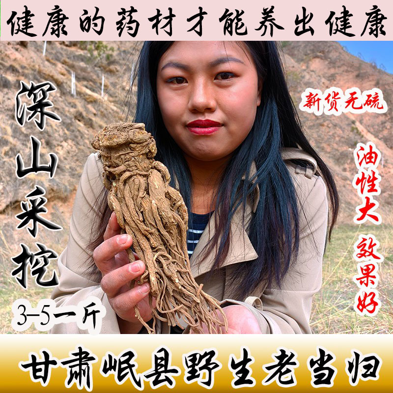 甘肅岷縣特大野生當歸稀少貨源