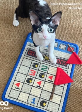 扫雷猫抓板含红旗天木蓼玩具