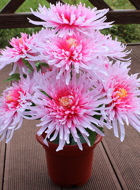 仿真花9头菊花束祭祀扫墓花清明