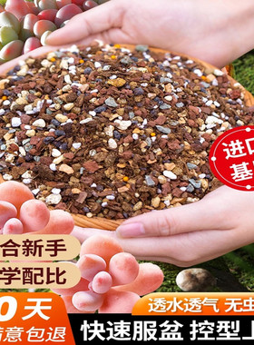 多肉绿植专用颗粒营养土铺面石