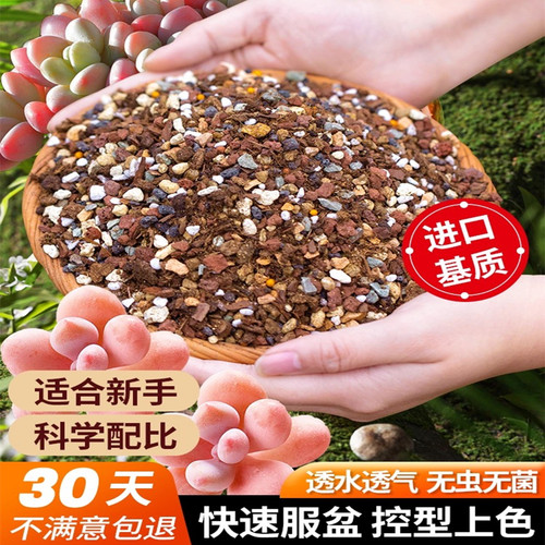 多肉绿植专用颗粒营养土铺面石