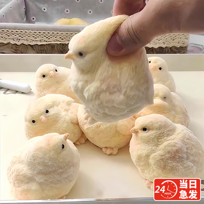 肉墩墩仿真毛绒小鸡捏捏乐奶油