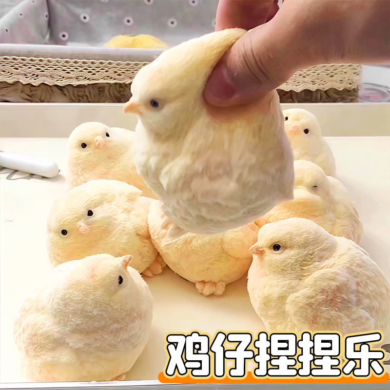 肉墩墩仿真毛绒小鸡捏捏乐奶油