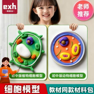 教材同款动物植物真核细胞模型制