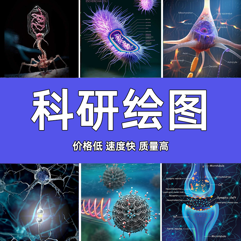 科研绘图医学插画图代画技术路线图SCI期面示意图TOC机制通路图