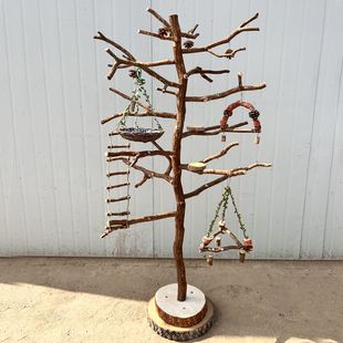 鸟架中大型鹦鹉站架子树枝干桌面原木站杆虎皮玄凤牡丹小太阳专用