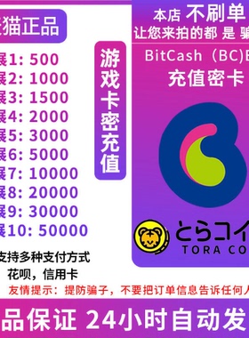 日服Bitcash(BX) EX10003000500010000dmm点数充值卡自动发货