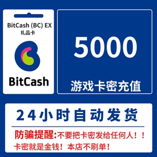 【自动发卡】BitCash (BC) EX 充值卡 礼品券 5000点