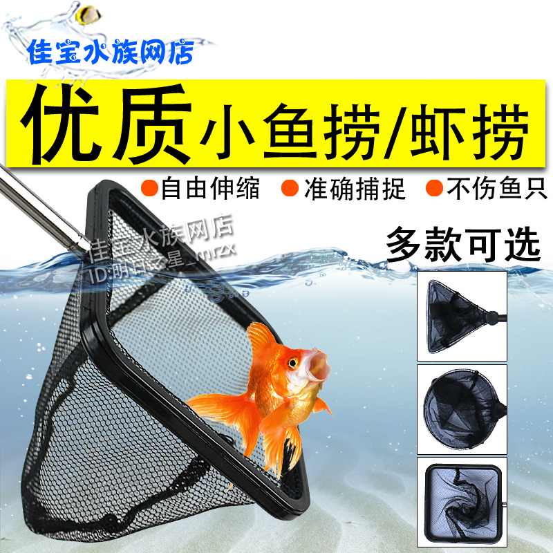 水晶虾捞小鱼捞可伸缩渔捞方形鱼网圆形抄网小鱼捞小抄子网兜虾网