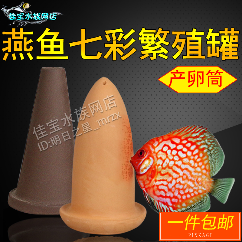 七彩繁殖罐燕鱼产卵筒产卵筒桶