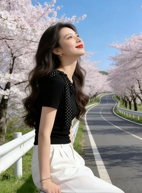 独特漂亮黑色短袖T恤女2026夏季新款法式设计感小众时尚气质上衣