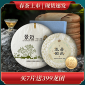 2025年景迈山普洱茶生茶饼茶新茶七子饼茶叶观自在早春茶357g