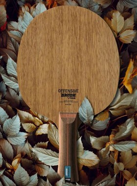 新品STIGA斯帝卡banda班达ALLROUND OFFENSIVE乒乓球底板球拍纯木