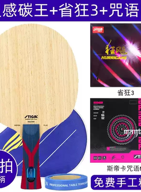 23新STIGA斯帝卡斯蒂卡灵感碳王核心碳素乒乓球底板王曼昱INSPIRA