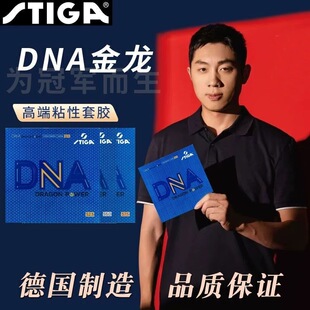 STIGA斯帝卡乒乓球胶皮金龙版DNA粘性反胶套胶80周年新品乒乓套胶