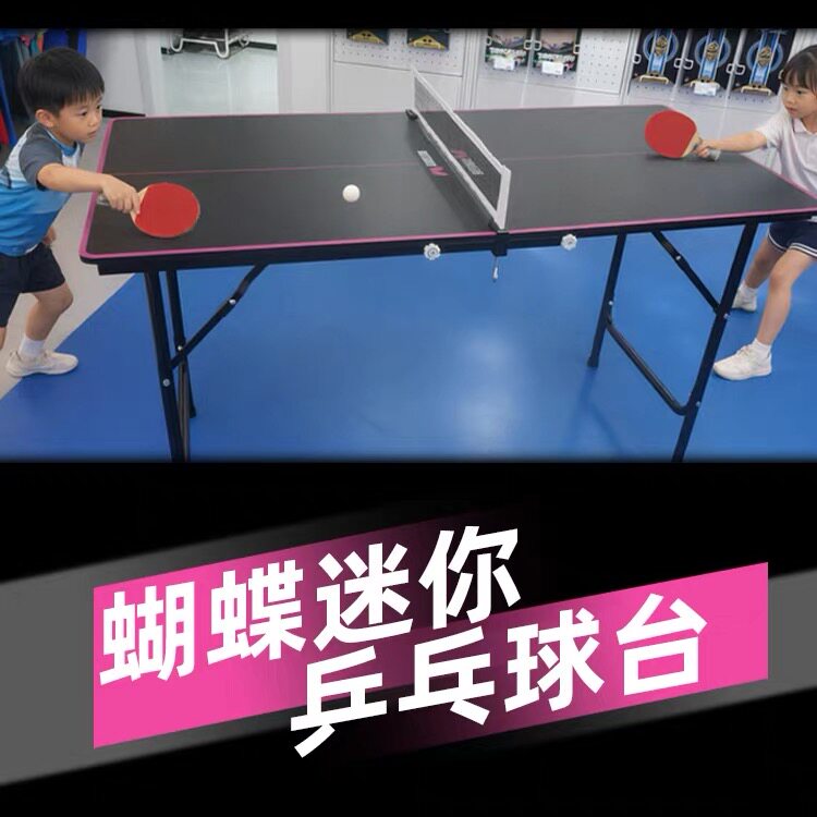蝴蝶MT-02迷你乒乓球台儿童训练运动家用娱乐耐用防磕折叠小球桌