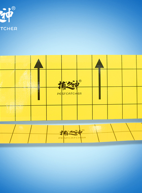 粘捕式灭蚊蝇灯诱虫专用粘纸强力贴虫纸苍蝇纸双层GM610/GM611型